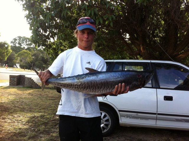 my first mackeral at rotto